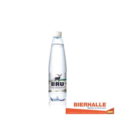 BRU SPUIT 50CL *PET