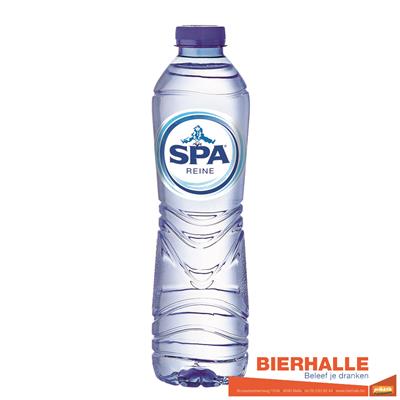 SPA REINE 50CL *PET *PLAT