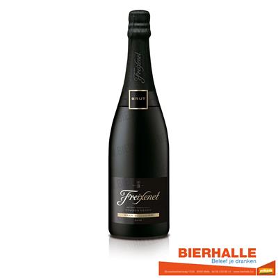 FREIXENET BRUT 75CL