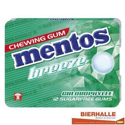 MENTOS GUM CHLORO.17.5GR*12ST *1646737*