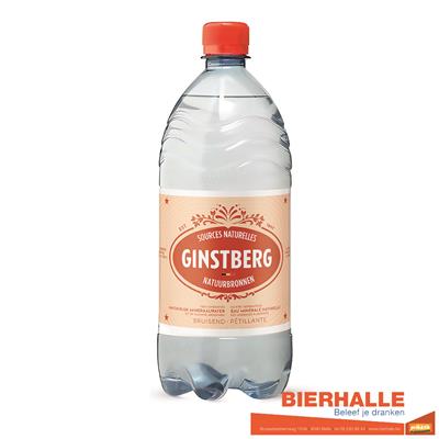 GINSTBERG SPUIT 1L *PET