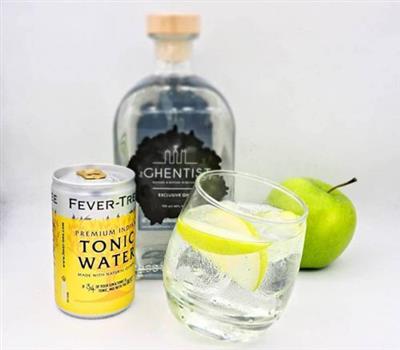 GIN THE GHENTIST 50CL 40%