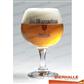 GLAS ST BERNARDUS WATOU
