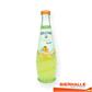 GEROLSTEINER ORANGE LIGHT 25CL