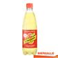 SCHWEPPES AGRUM 50CL PET