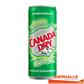 CANADA DRY 33CL BLIK